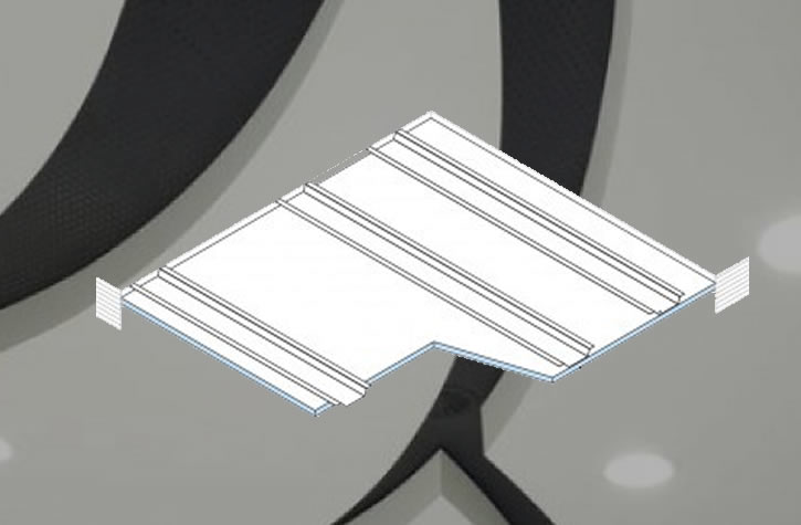 Project Name