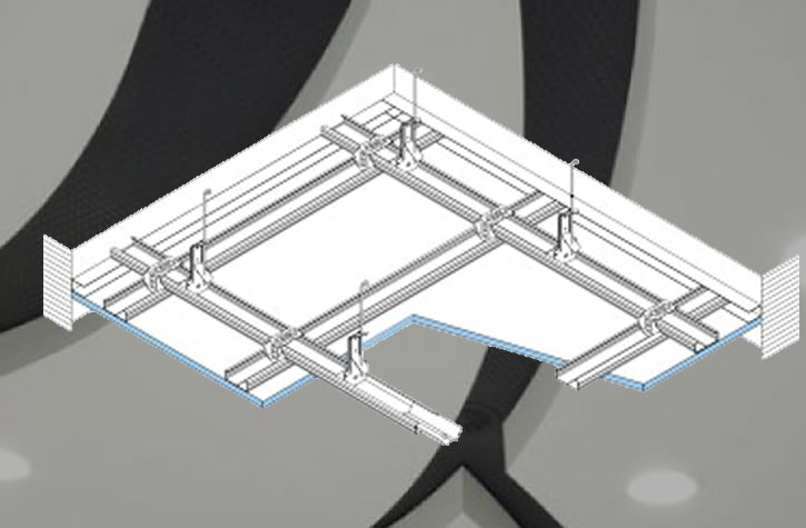 Project Name