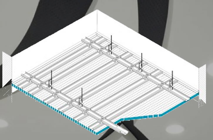 Project Name